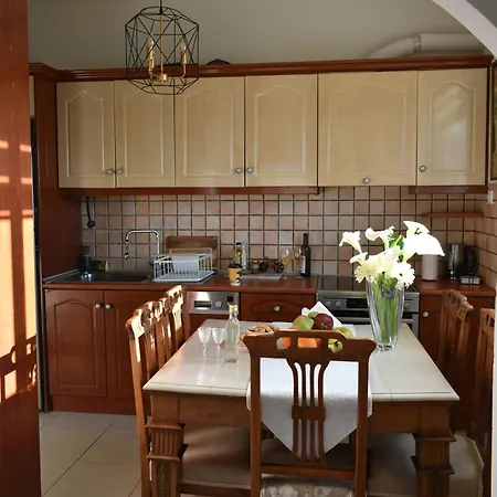 Diotima - Astonishing Seaview